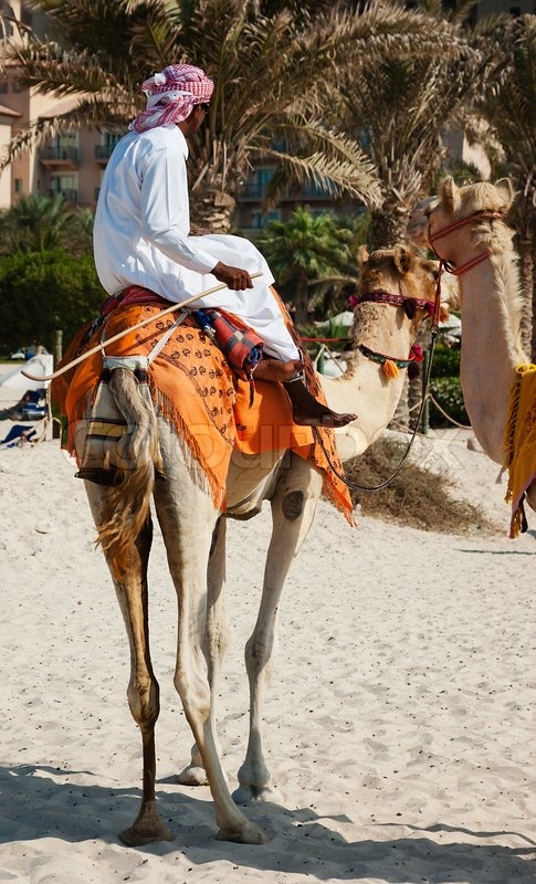 Arab Man Sitting On A Camel On The Stock Image Colourbox