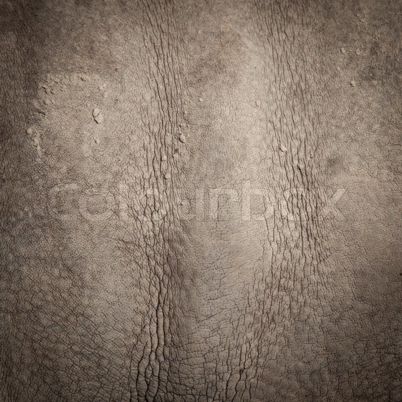 pellucid skin pellucid skin