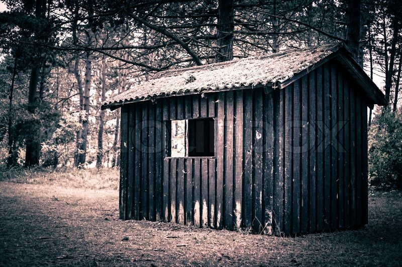 Spooky Cabin In A Dark And Mysterious Stock Image Colourbox