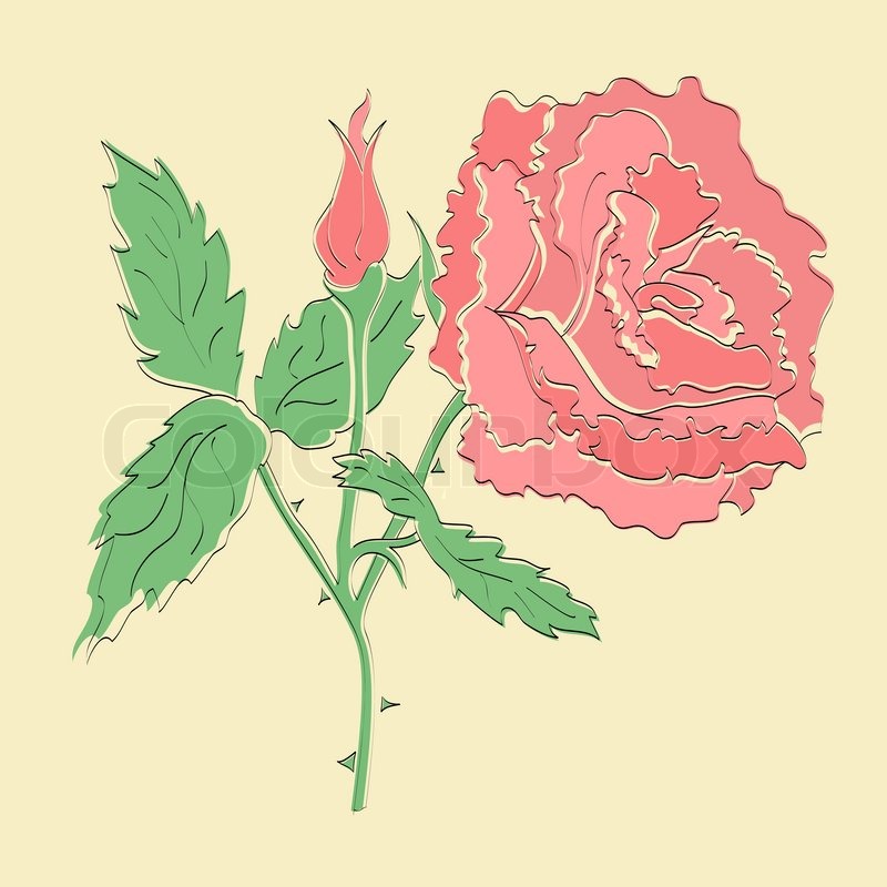 Vector red rose | Stock vector | Colourbox