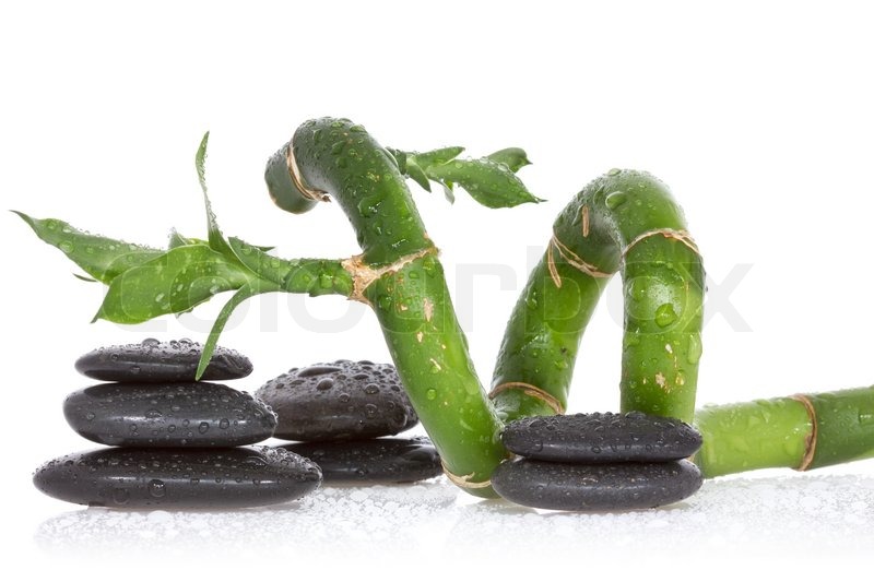 Wet bamboo and pebbles over a white Stock image Colourbox
