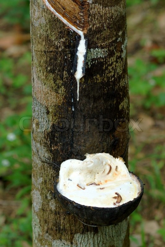 Opinion Latex natural log Sorry, Latex natural log will not