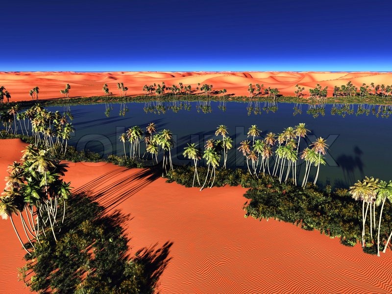 African oasis | Stock Photo | Colourbox