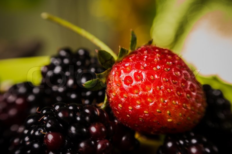 Velsmagende sommer frugter pÃ¥ et træbord cherry , blÃ¥ bær , jordbær ... Blå træborde