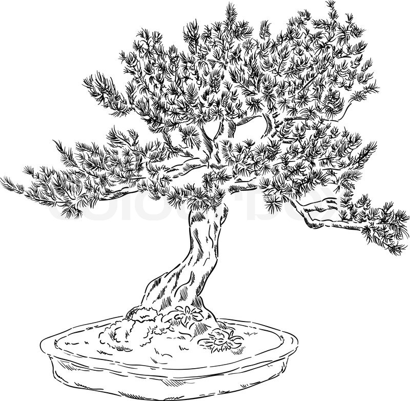 Bonsai Tree Japanese Drawing Drawings Outline Draw Tattoo Simple Easy