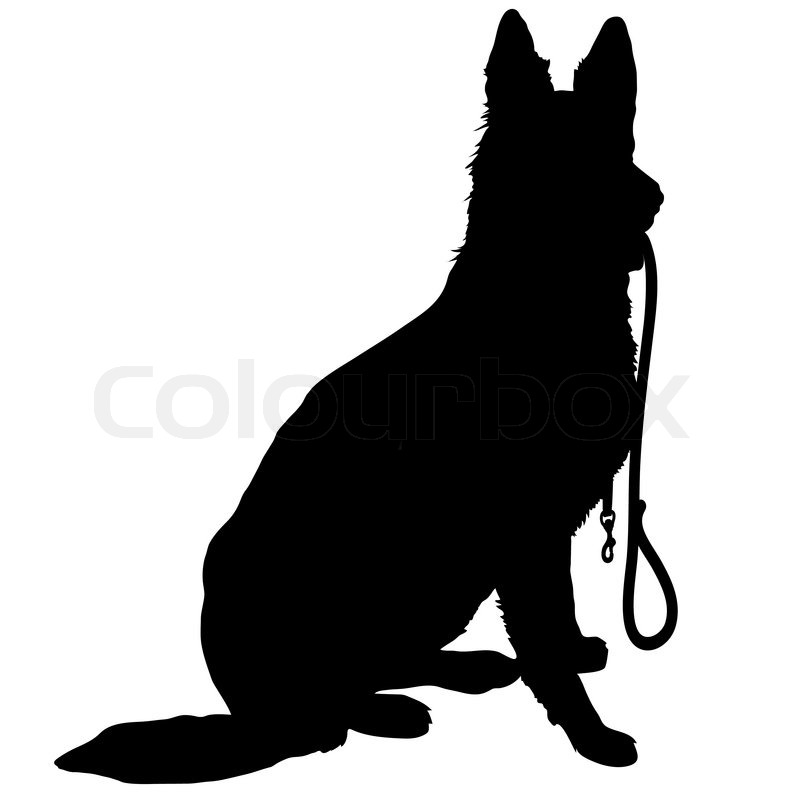Walking My Cat With A Dog Leash Walking My Cat With A Dog Leash