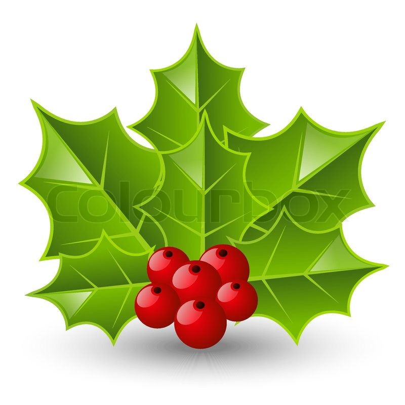 Holly berry icon on white | Stock vector | Colourbox