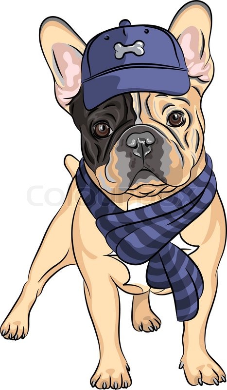 hipster dog french bulldog