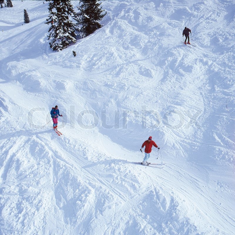 Bird'seye view of people skiing Stock Photo Colourbox