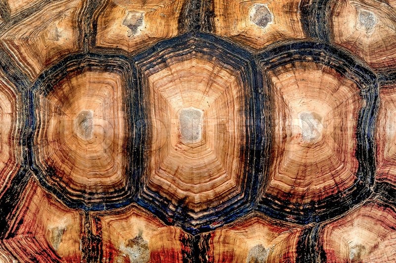 Download Close up view of the hexagonal texture ... | Stock image ... Yellowimages Mockups