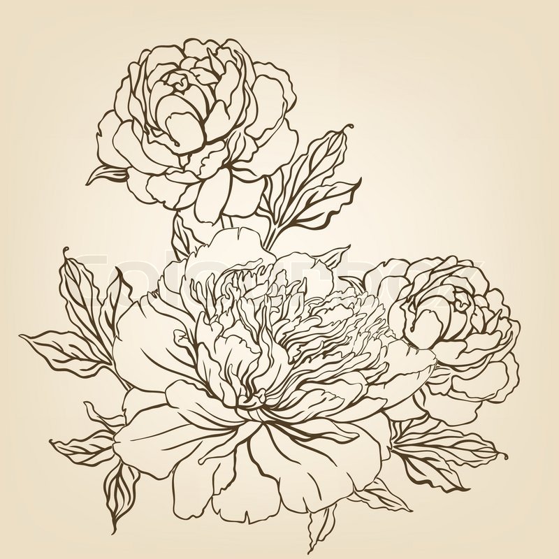 pen sketch decoration flowers. Vintage hand drawing background Vector with