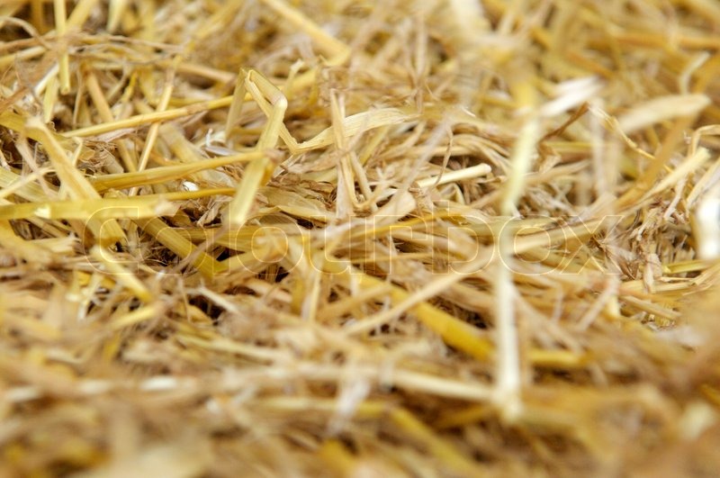 Closeup on straws Stock image Colourbox