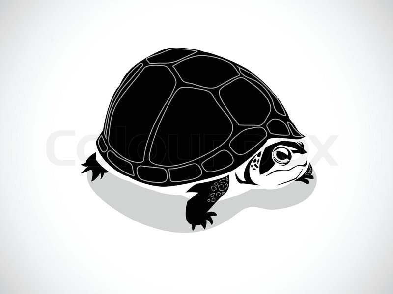 Image graphic style of turtle isolated | Stock vector | Colourbox