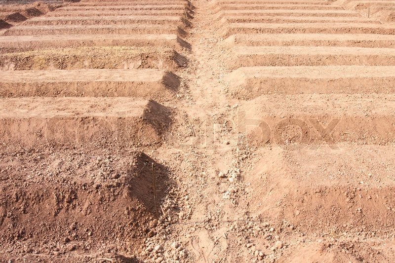Preparation Of Soil Ready For Planting Stock Image Colourbox
