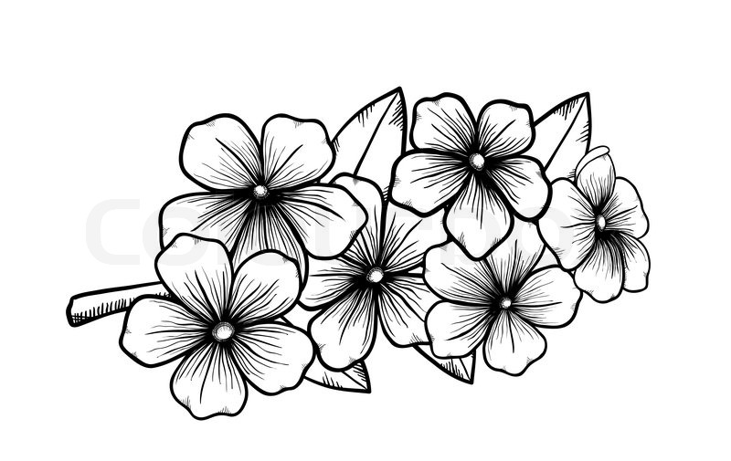 tree branches clipart black and white flower