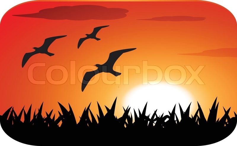 Birds Silhouette With Sunset Stock Vector Colourbox Birds Silhouette With Sunset Stock Vector Colourbox