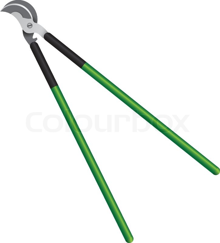 Tool for cutting twigs of trees with Stock vector Colourbox