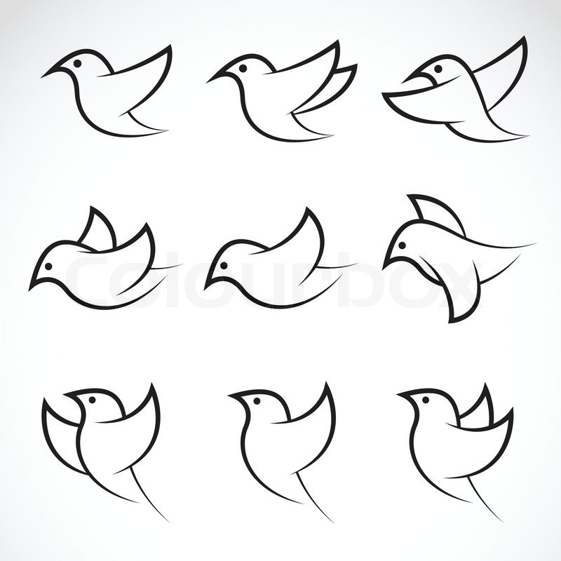 Set of vector bird icons on white Stock vector Colourbox