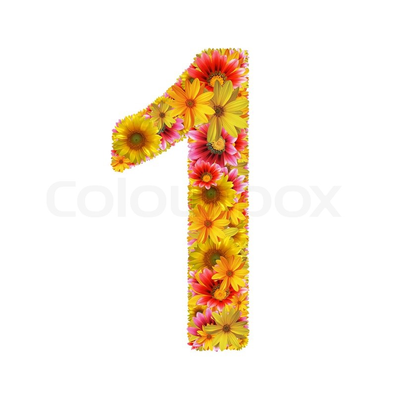 Number 1 created of flowers isolated on | Stock image | Colourbox