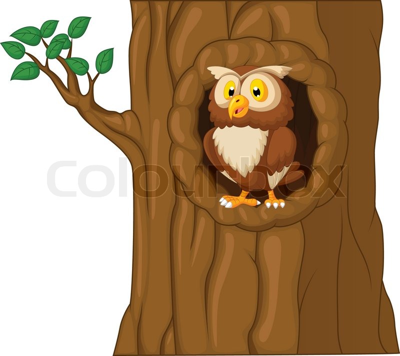Vector illustration of Cartoon Owl In | Stock vector | Colourbox