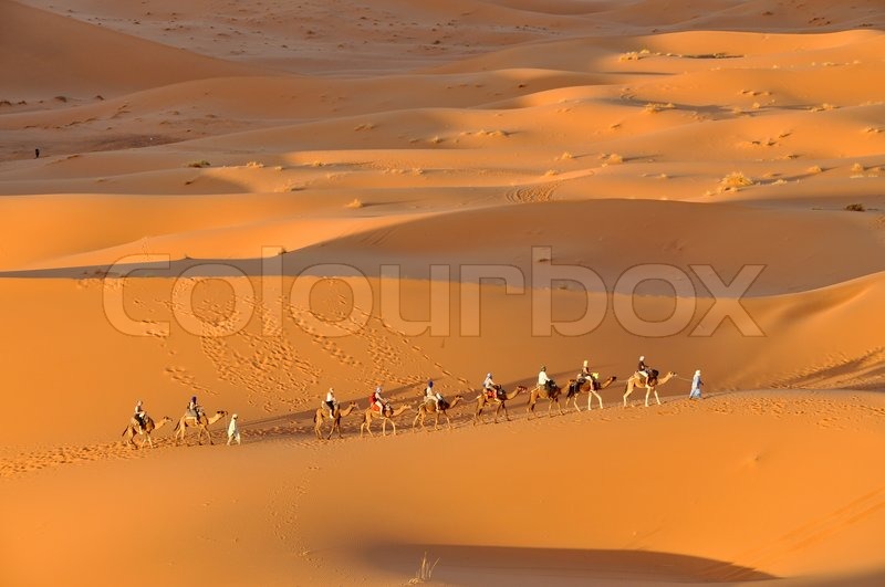 Kamelkarawane in der Wüste von ... | Stock Bild | Colourbox