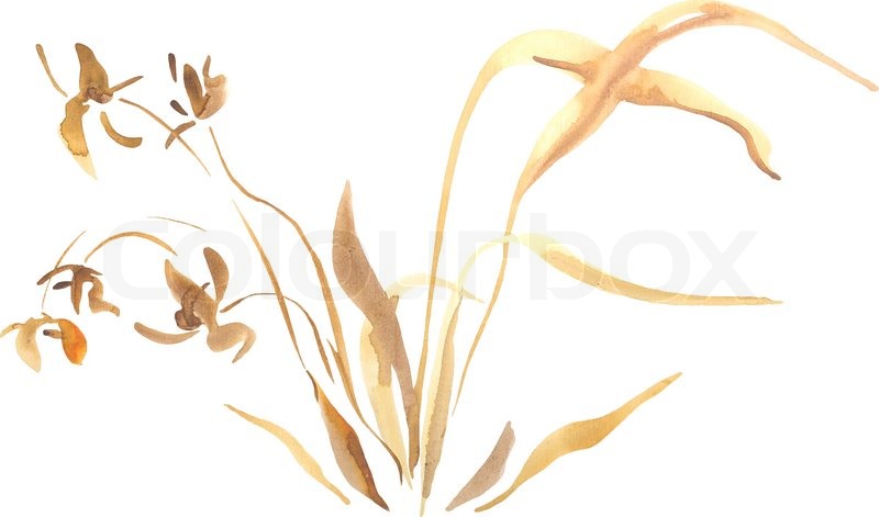 wild orchid flower watercolor painting decorative floral art