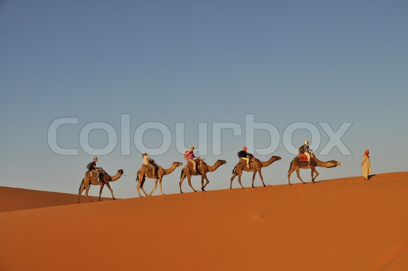 Kamelkarawane in der Wüste von ... | Stock Bild | Colourbox