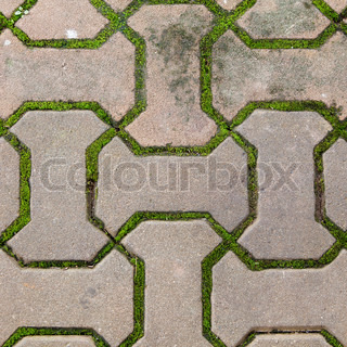 Brick Walkway Lined With Moss Up Nicelytexturebackground Brick Walkway Lined With Moss Up Nicelytexturebackground